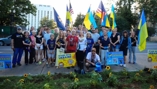 Перед російським посольством у Вашингтоні висадили соняшники на підтримку України
