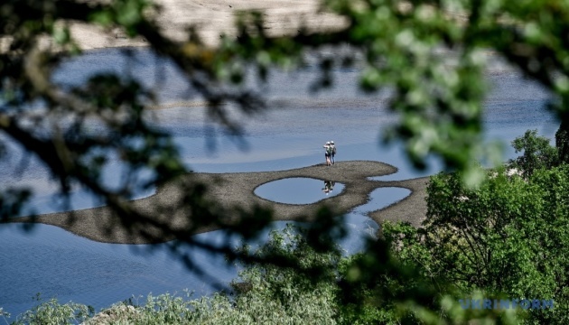 Forest growing on site of Kakhovka Reservoir protected under Bern Convention, scientist says