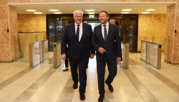 Цахкна і Сибіга обговорили у Таллінні безпеку Укра
