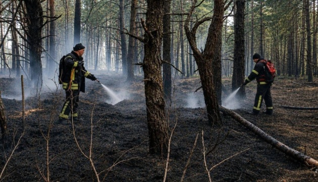 У заповіднику на Житомирщині загасили масштабну пожежу, що виникла через удари РФ