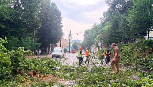 У Львові через удар блискавки 6-річна дівчинка потрапила до реанімації