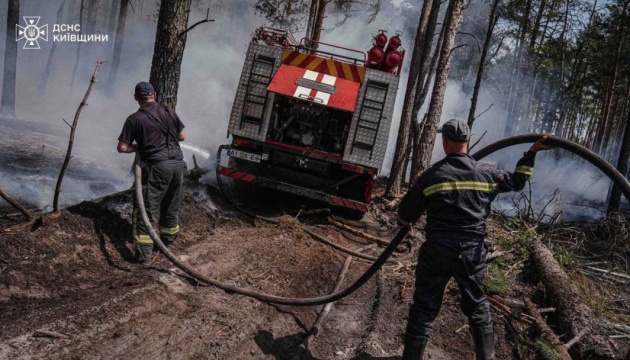 Температура досягає 50°: рятувальники гасять масштабну пожежу в Чорнобильській зоні
