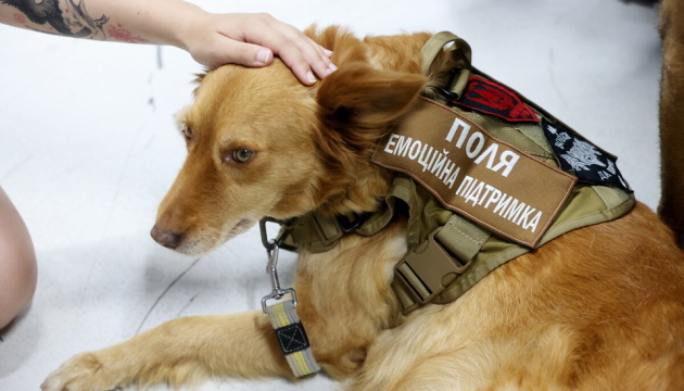 У Львові презентували першу в Україні програму емоційної підтримки ветеранів за участі собак