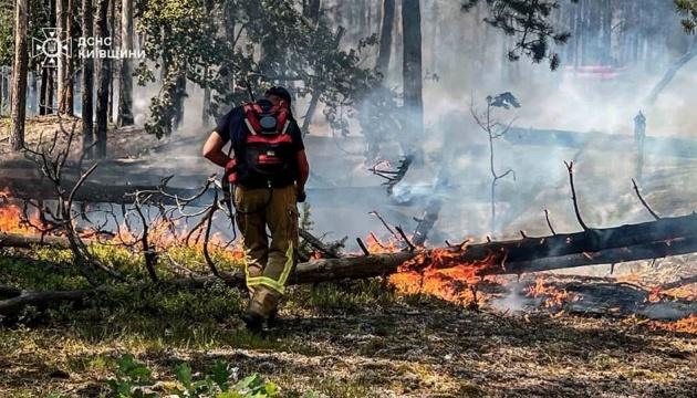 У Чорнобильській зоні загасили два осередки пожеж від падіння російських дронів