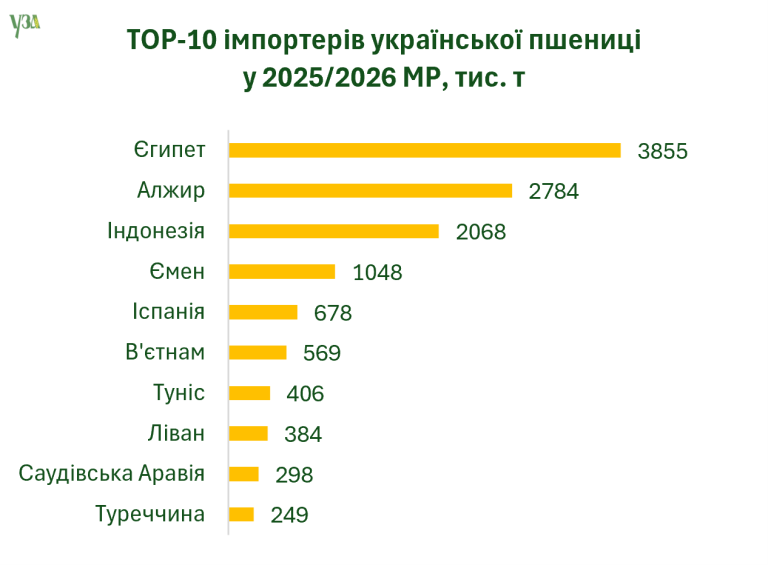 Попри скорочення експорту зернових та олійних у грошовому еквіваленті показники майже без змін - УЗА