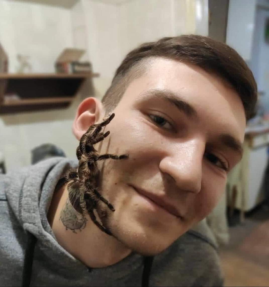 ...
