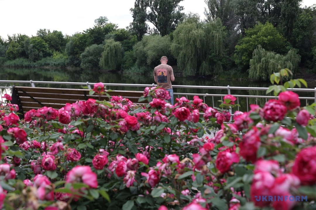 ベルナツィキー公園のバラの花