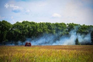 У Чорнобильській зоні ліквідували лісову пожежу