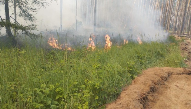 Se están extinguiendo los incendios en la zona de Chornóbyl, el nivel de la radiación es normal