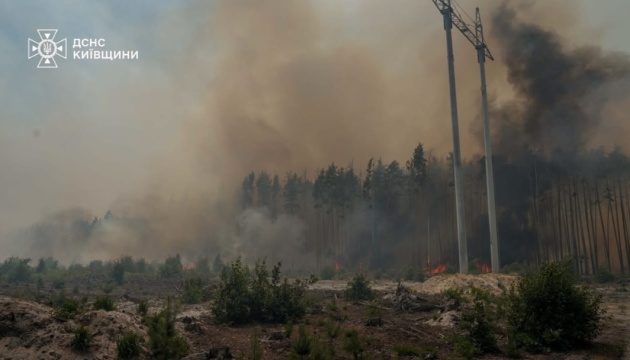 У Чорнобильській зоні на одній із локацій ліквідували пожежу площею 130 гектарів
