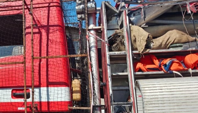 Russian forces strike fire engine in Donetsk region