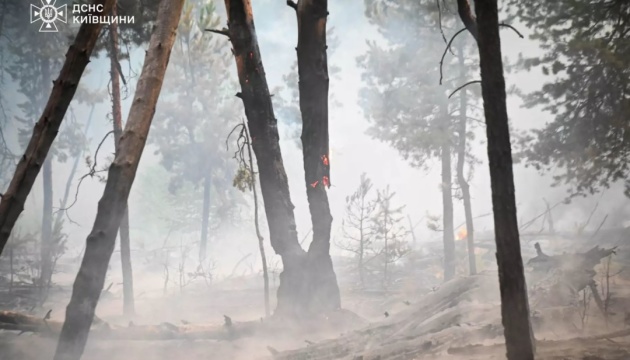 Dans la zone de Tchornobyl, on lutte à nouveau contre un feu de forêt