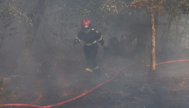 У Франції затримали чоловіка за підозрою у спробі підпалу одного з найбільших парків Парижа
