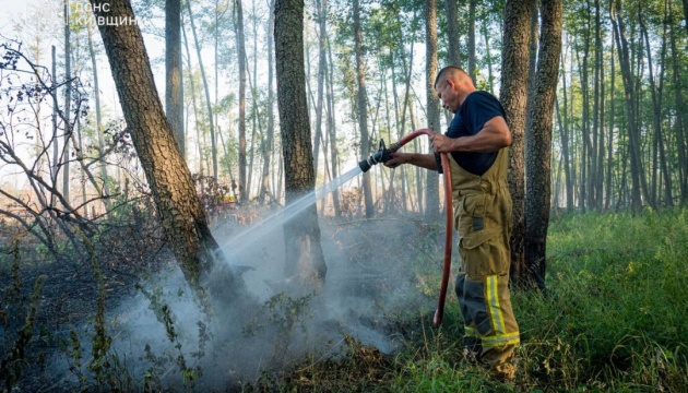 У Чорнобильській зоні гасять лісову пожежу, радіаційний фон - у нормі