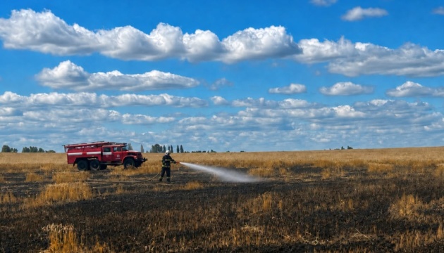Une attaque russe ravage deux hectares de blé dans la région de Jytomyr