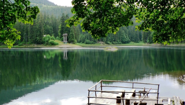 На озеро Синевир маломобільних туристів довозитимуть електротранспортом