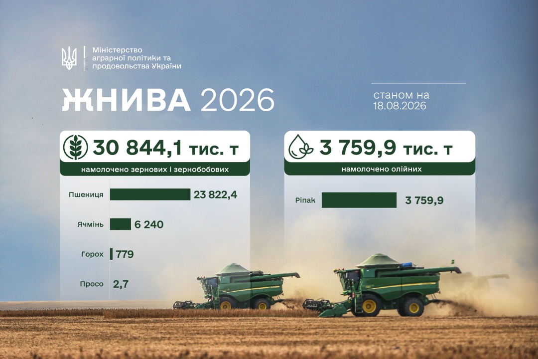 В Україні вже зібрали майже 31 мільйон тонн зерна нового врожаю