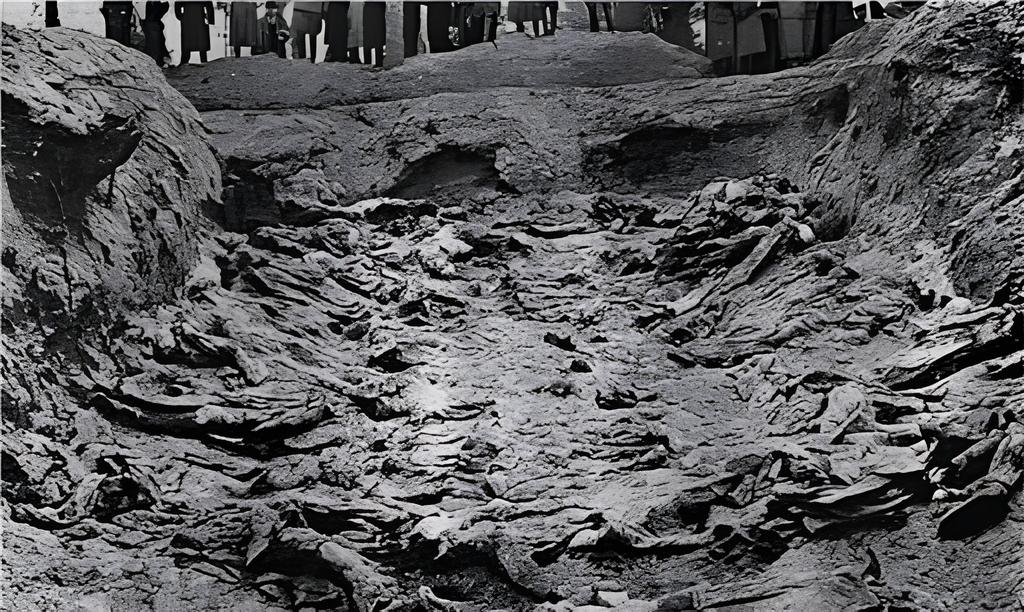 Ексгумація катинської могили. 1943 р. Фото: Вікіпедія