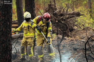 Waldbrände in Frankreich: Ukrainische Feuerwehrleute beginnen mit Löscharbeiten