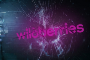 Militärgeheimdienst: Ukraine hackt russischen Onlinehändler Wildberries 