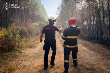 Rescatistas ucranianos logran extinguir un incendio forestal que amenazaba una localidad en Francia