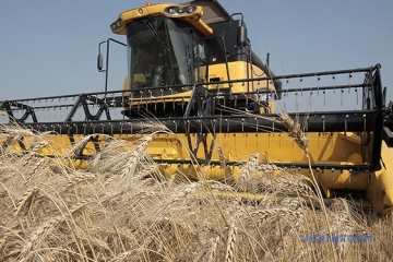 Ucrania cosecha alrededor de 31 millones de toneladas de cereales de la nueva temporada