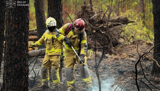 Waldbrände in Frankreich: Ukrainische Feuerwehrleute beginnen mit Löscharbeiten