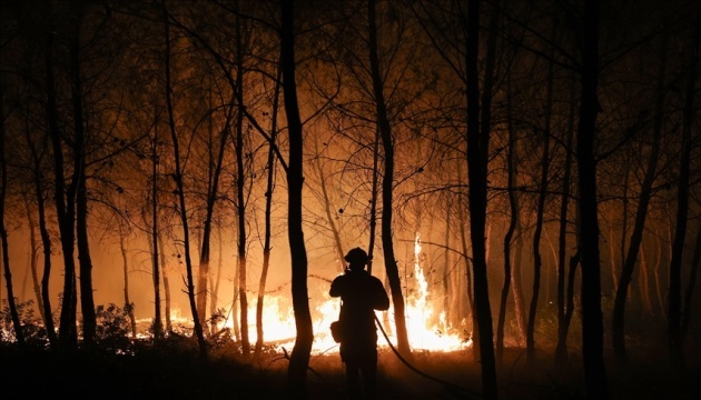 Les secouristes ukrainiens rentrent de France, où ils ont aidé à lutter contre les feux de forêt