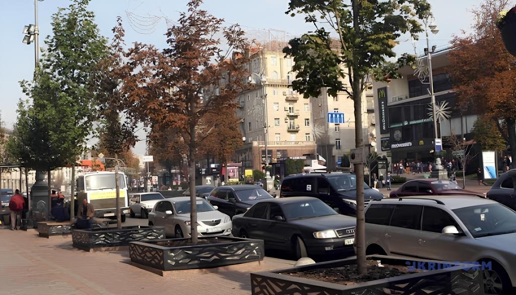 Із 300 закуплених каштанів сорту Бріотті лише два виявились відповідними сорту. Фото: Укрінформ