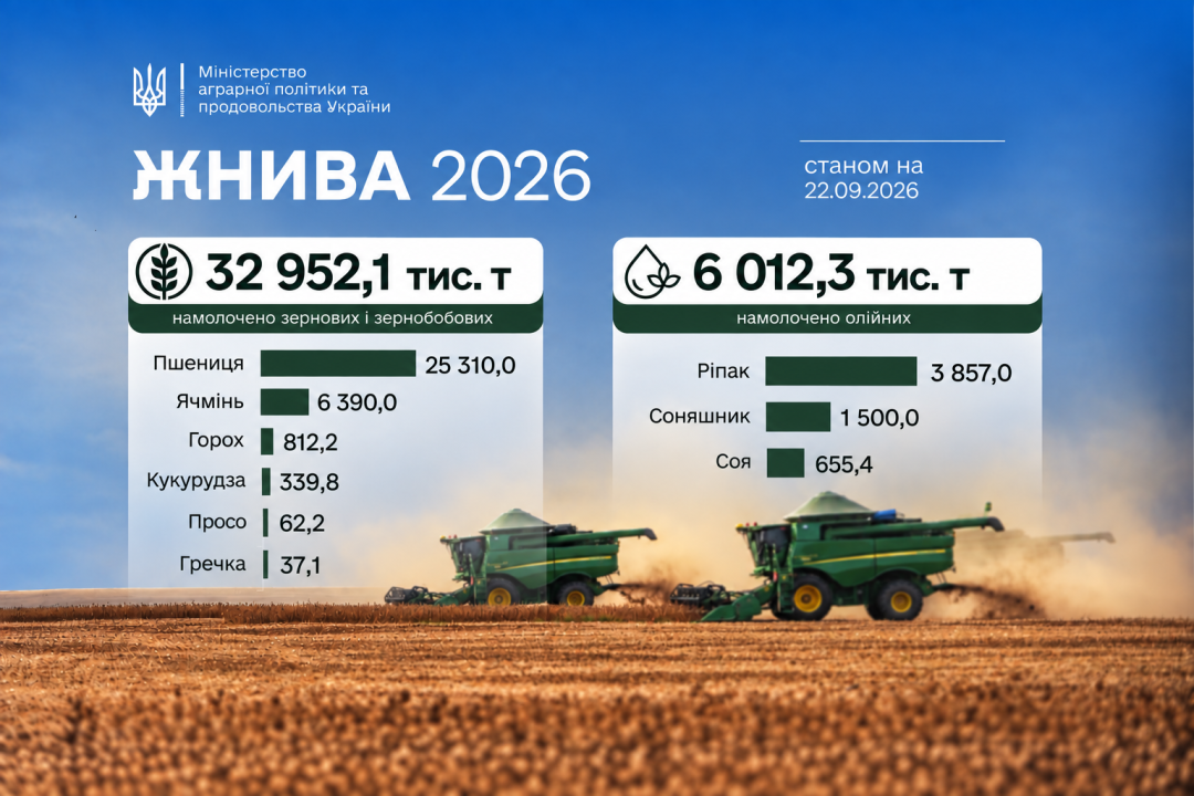В Україні завершили збір пшениці, ячменю, гороху та ріпаку - в яких областях найбільша врожайність