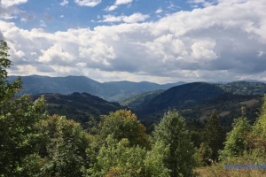 Суди зобов’язали держпідприємство визначити межі понад 2100 гектарів пралісів на Закарпатті