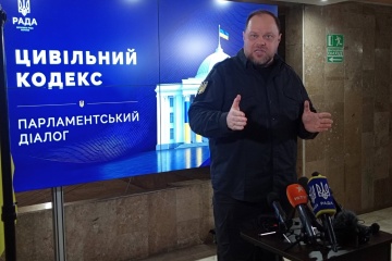 Стефанчук назвав малоперспективним запровадження е-виборів найближчим часом
