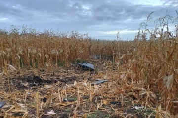 У Молдові повідомили про кілька вибухів і виявили уламки безпілотника