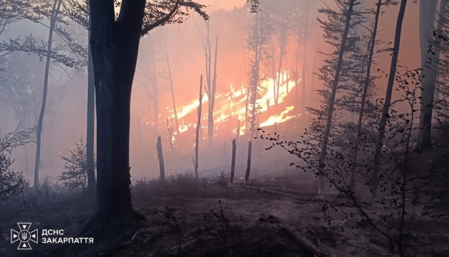 На Закарпатті другий день гасять масштабну лісову пожежу