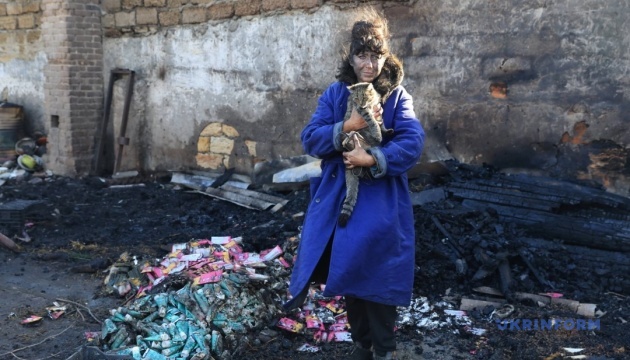Dans la région d’Odessa, l’armée russe a visé un refuge pour animaux, tuant trois chiens et dix chats