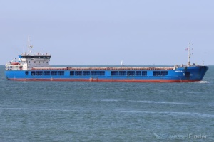Дрон уразив зерновоз у Чорному морі поблизу Румунії: є загиблі, судно затонуло