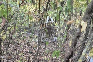 До Молдови залетів і вибухнув ще один дрон