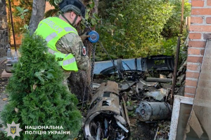 У Києві вилучили з приватного подвір'я 90-кілограмову бойову частину російського дрона