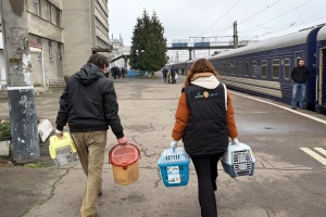 На Рівненщину з початку року евакопоїздами прибули 500 людей
