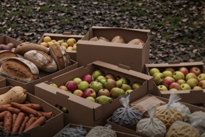 За два роки понад 1,3 мільйона тонн продуктів ЗСУ поставили через DOT-Chain Food