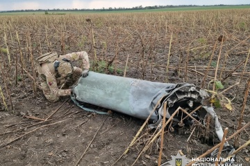 На Кіровоградщині піротехніки знешкодили дві бойові частини російської ракети