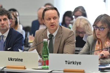 Цивільні там у пастці: Україна закликає держави ОБСЄ домогтися від Росії гуманітарного доступу до Олешок