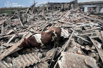 Des drones russes ont attaqué une exploitation agricole dans la région de Soumy ; un mort et quatre blessés