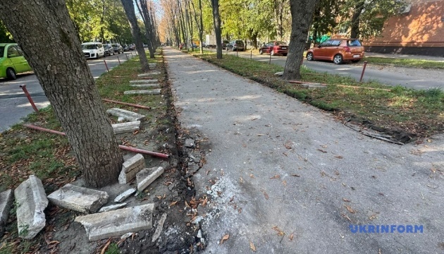 У Кропивницькому розпочали роботи з облаштування Алеї Слави