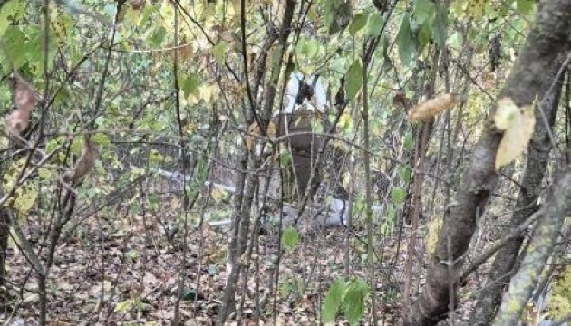 До Молдови залетів і вибухнув ще один дрон